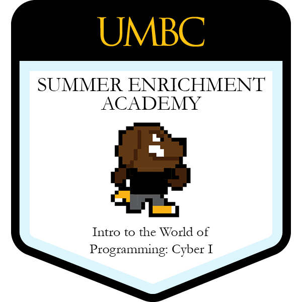 Summer Enrichment Academy: Cyber I