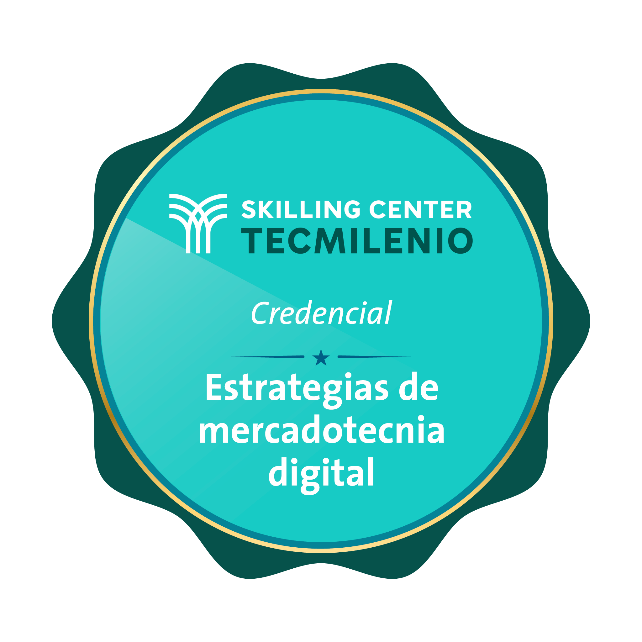 Credencial Estrategias de mercadotecnia digital