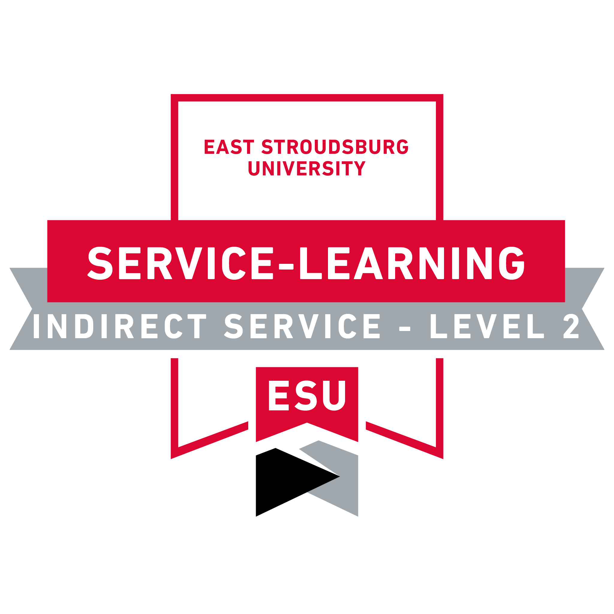 SL: Indirect Service-Learning Level 2