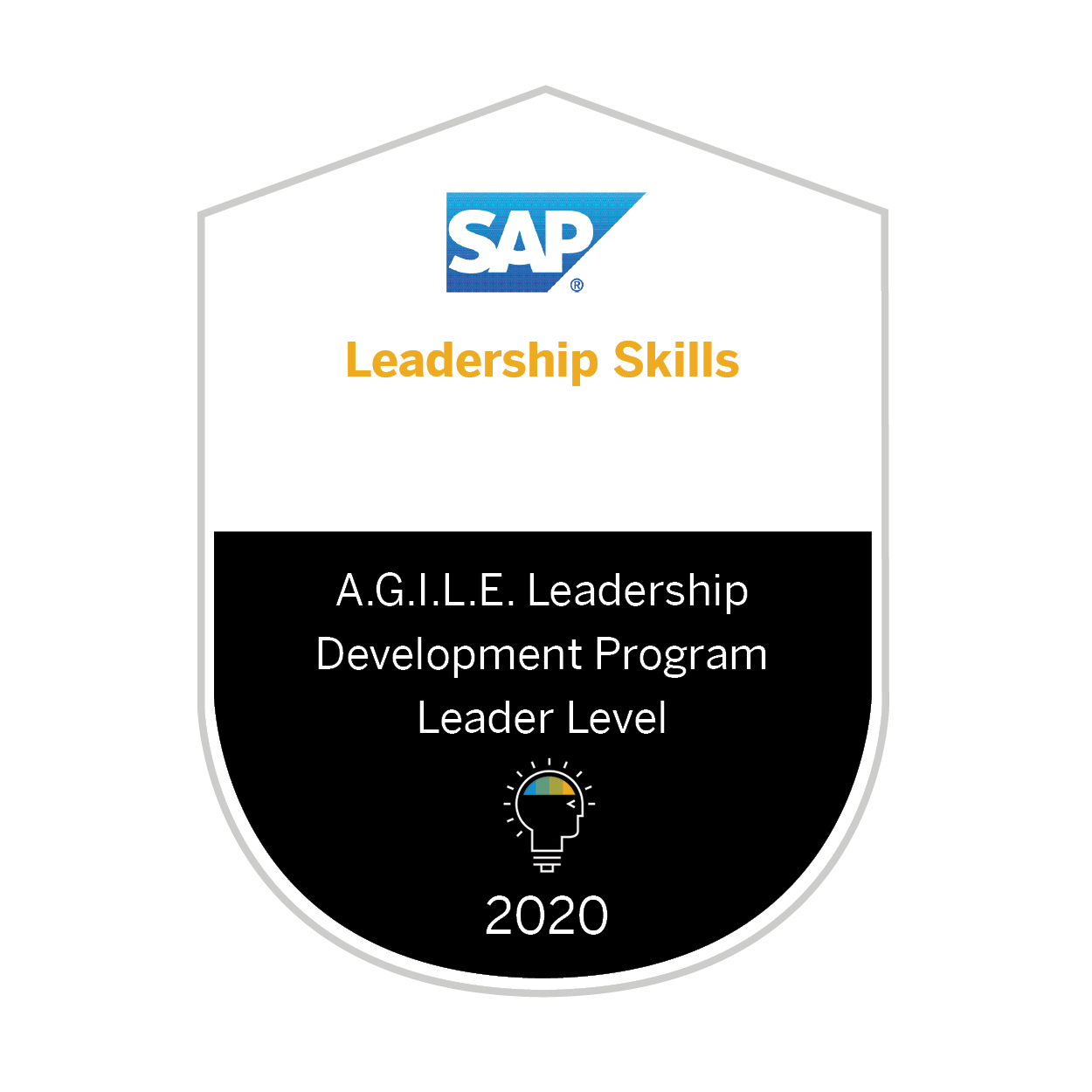 leadership-skills-2020-a-g-i-l-e-leadership-development-program