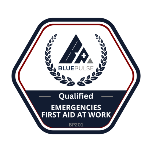 First Aid at Work Emergencies 6 hours Credly