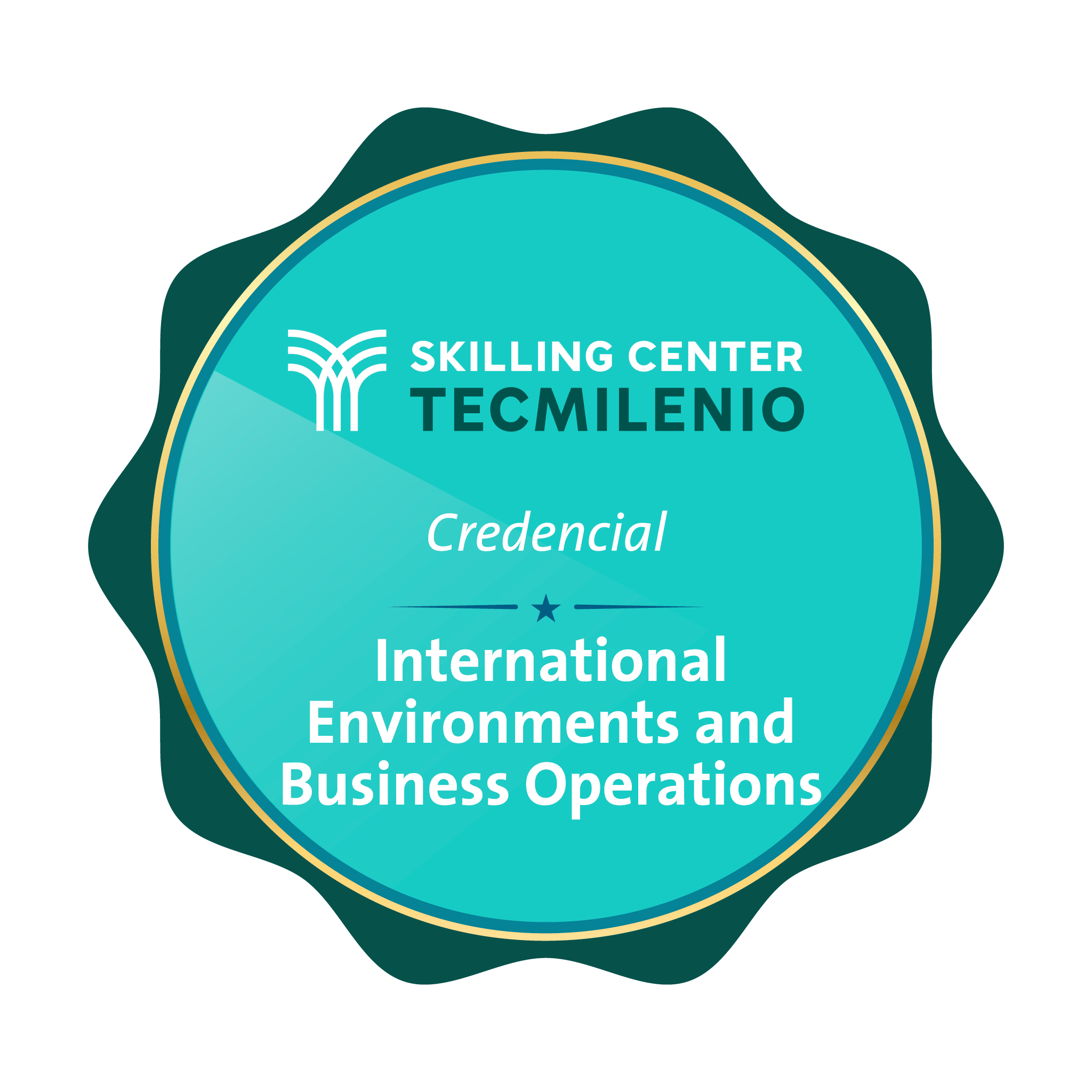 Credencial International Environments and business operations