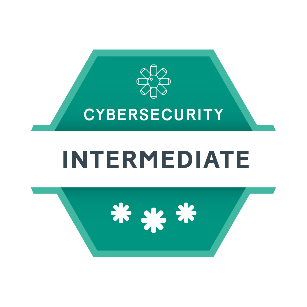 Cybersecurity Intermediate