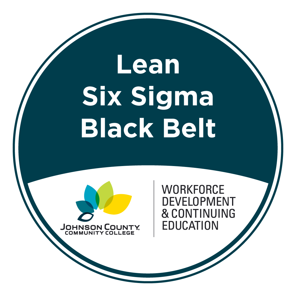 Lean Six Sigma Black Belt