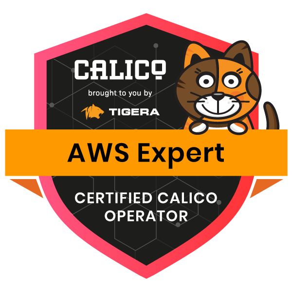 Certified Calico Operator - AWS Expert