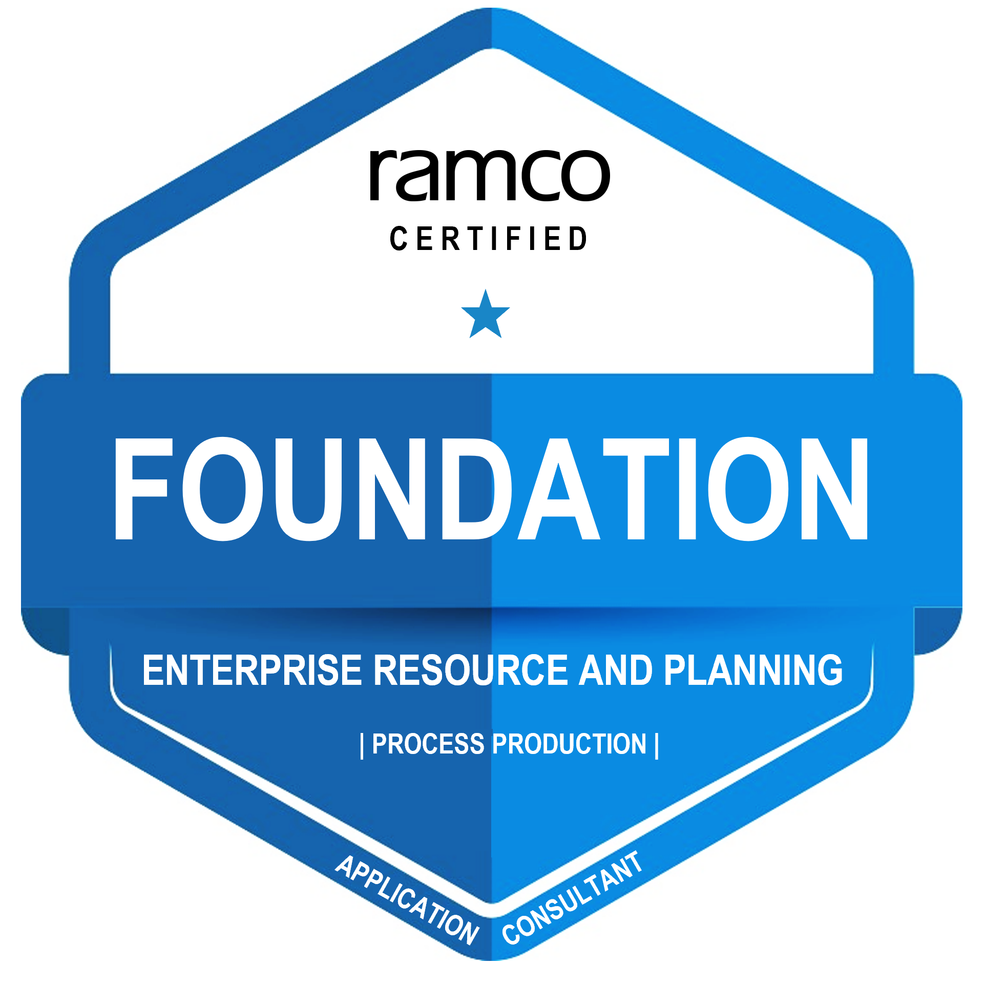 Ramco ERP L1 - Foundation Level in Process Production