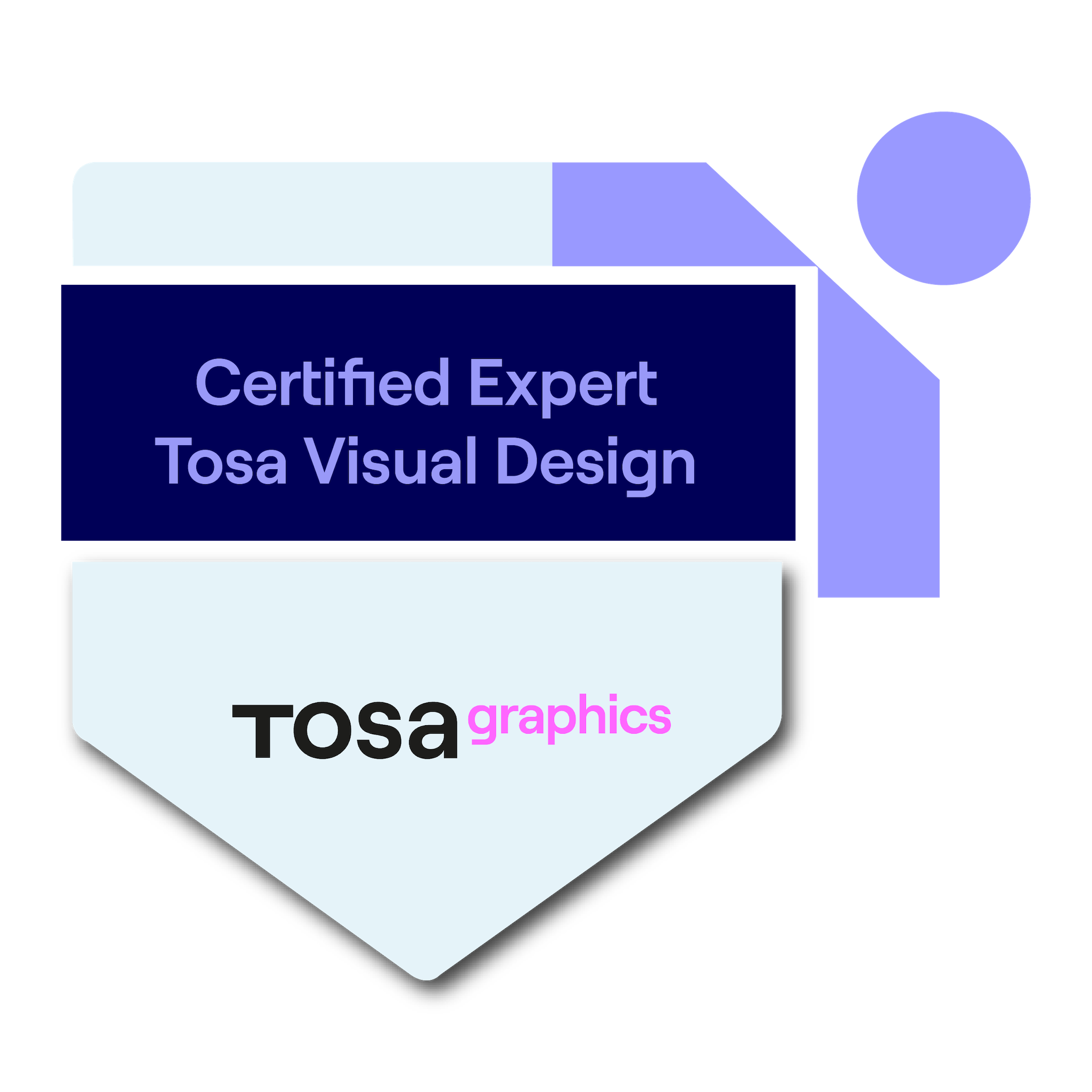 Tosa Visual Design Certified User - Expert Level