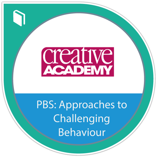 Positive Behaviour Support: Approaches to Challenging Behaviour