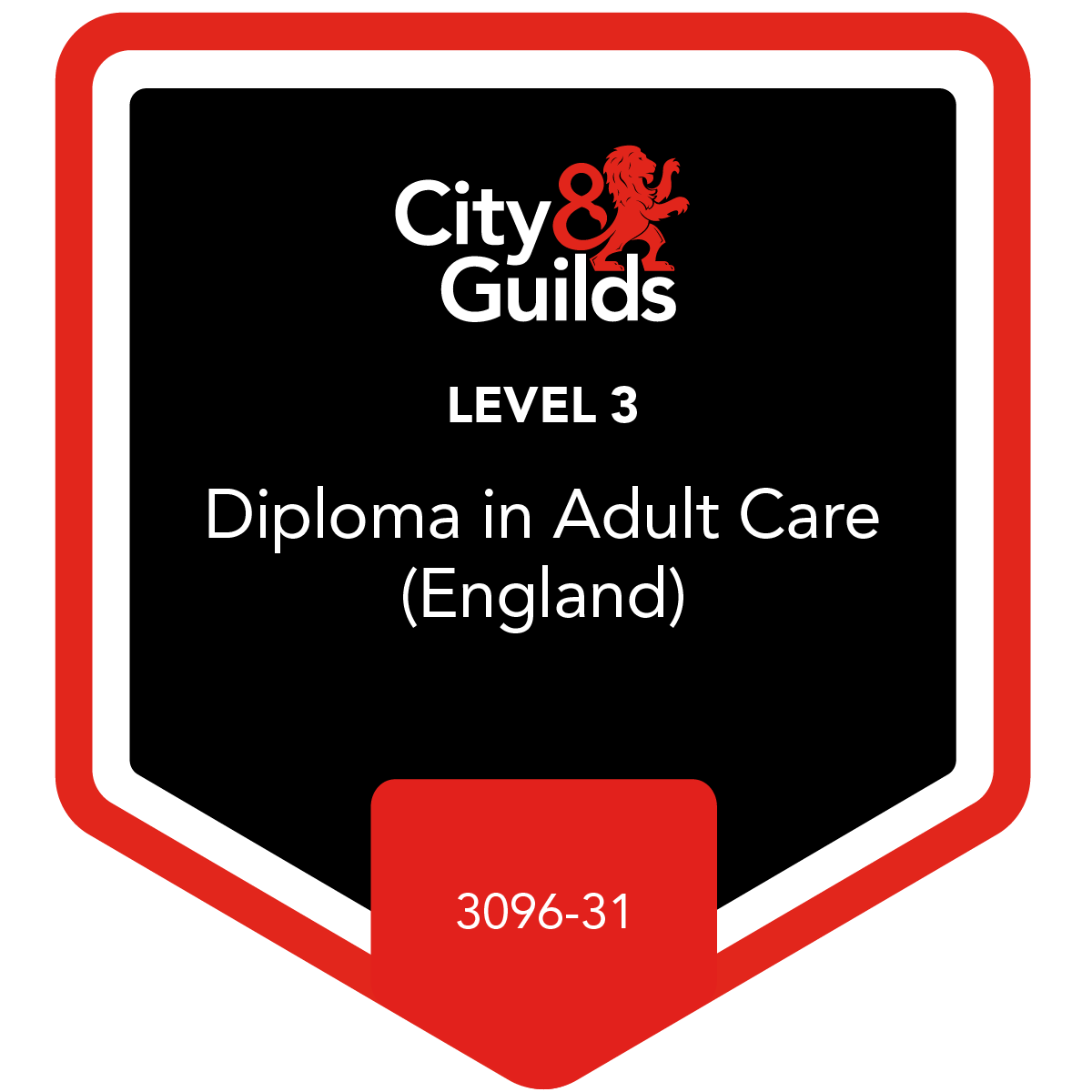 Level 3 Diploma in Adult Care (England) (3096-31)