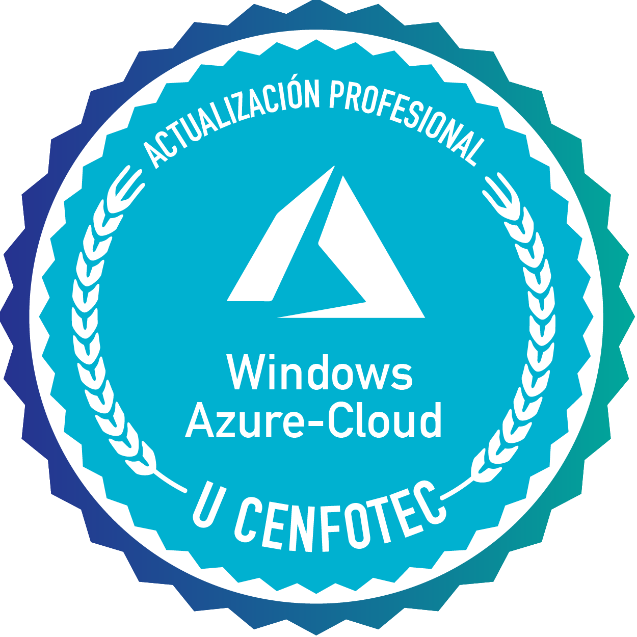 Curso Windows Azure-Cloud