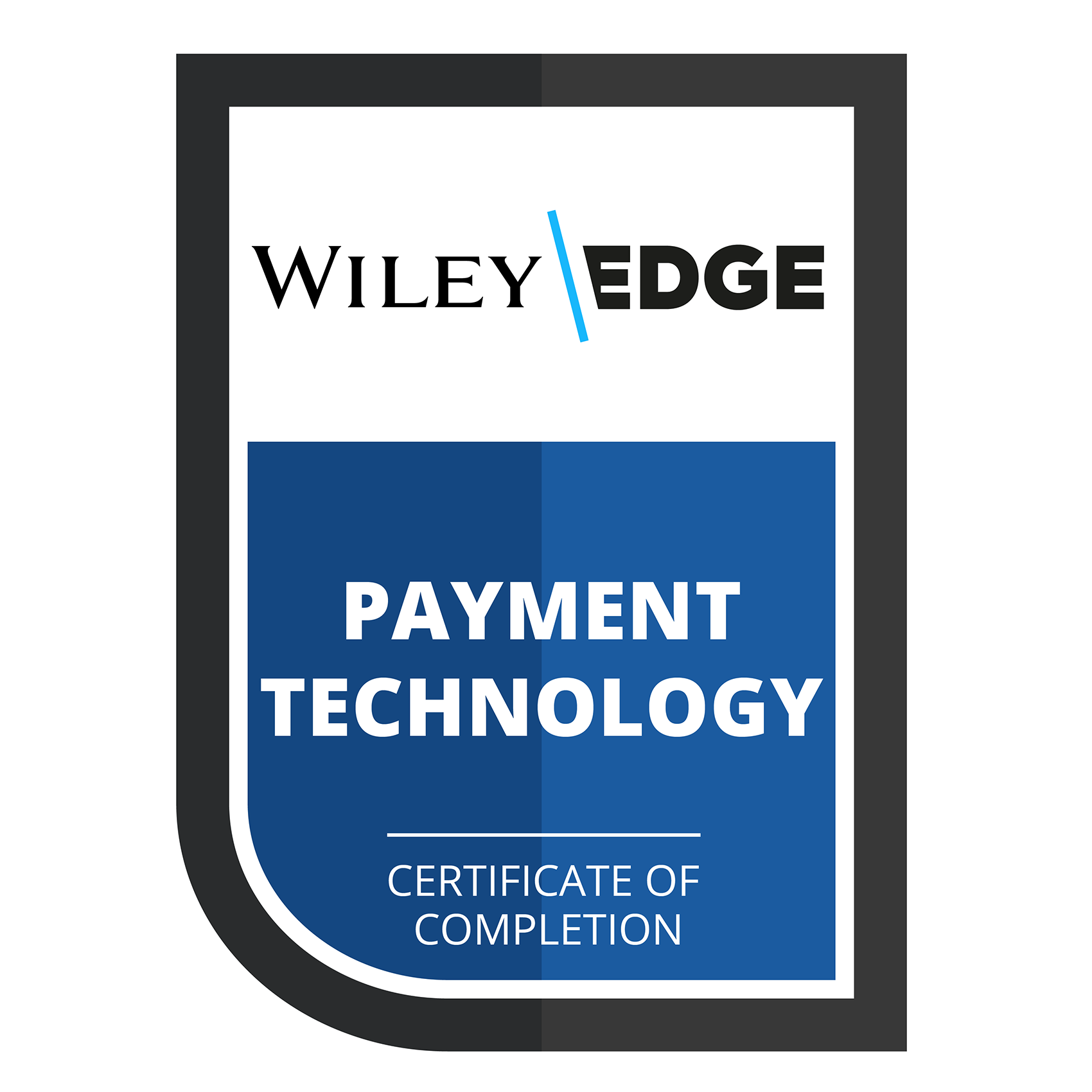 PAYMENT TECHNOLOGY
