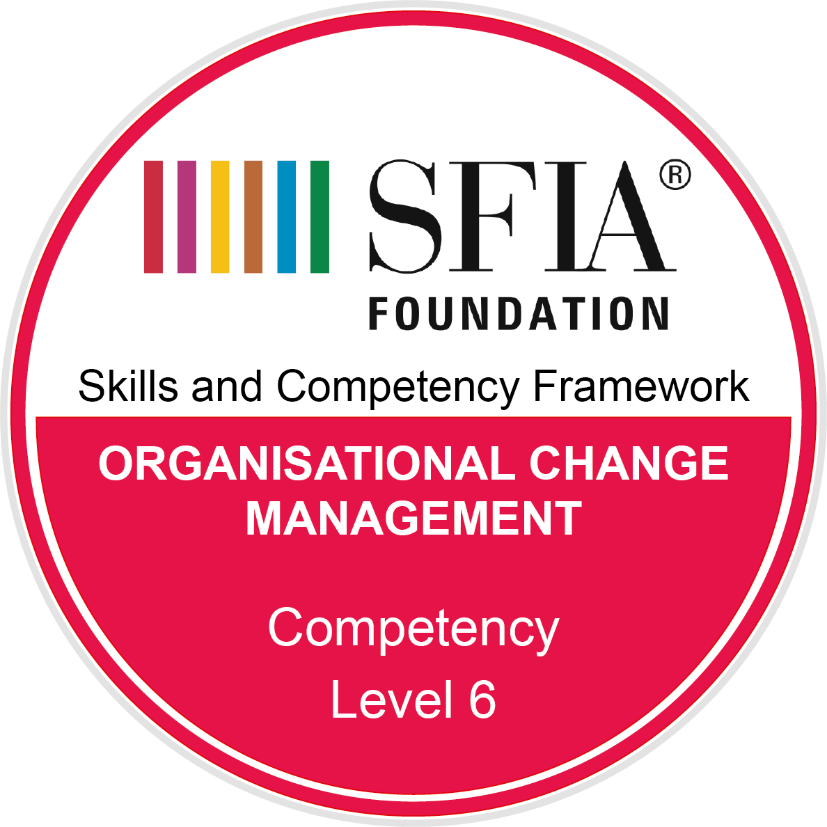 Organisational change management - Competency - Level 6