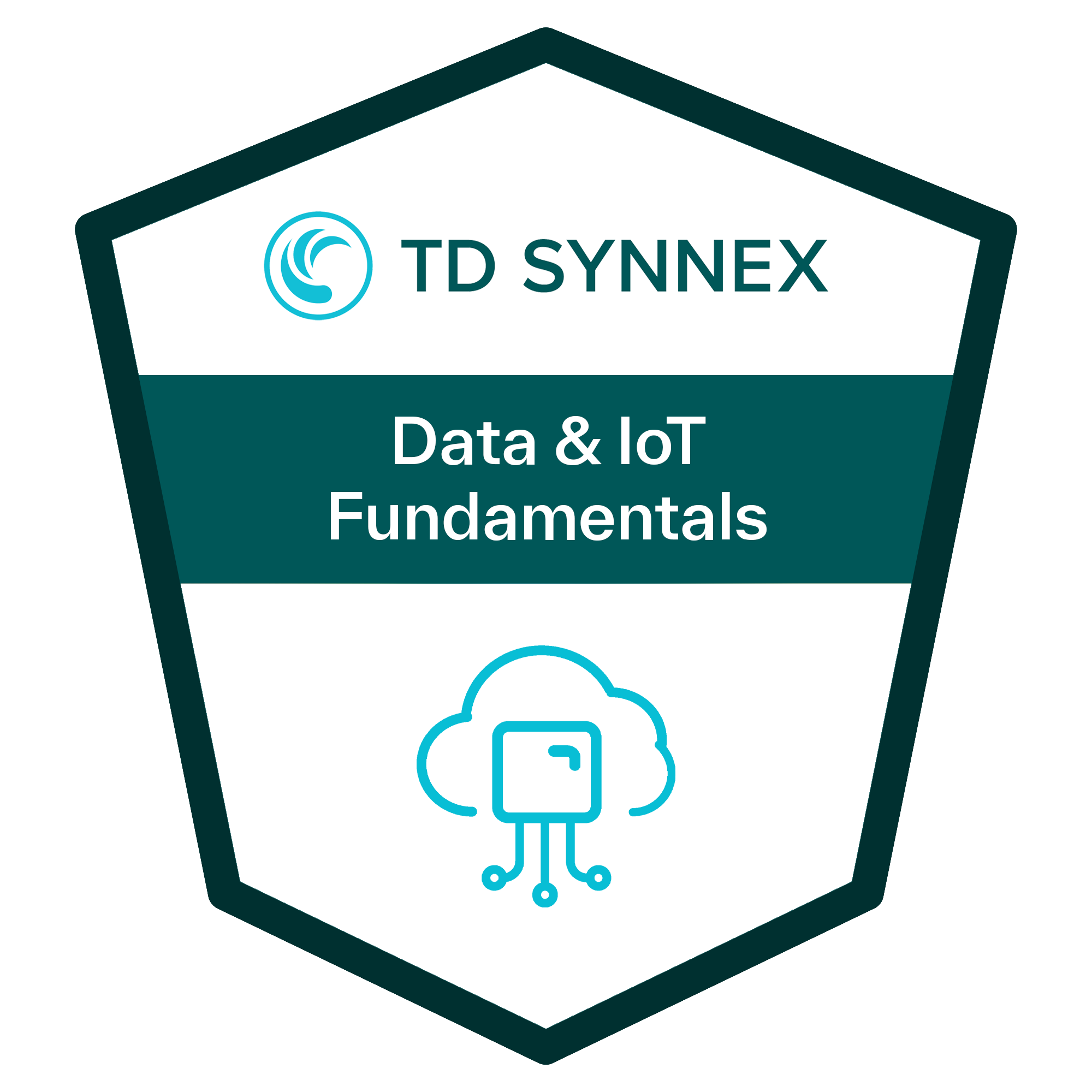 Data and IoT Fundamentals Certification