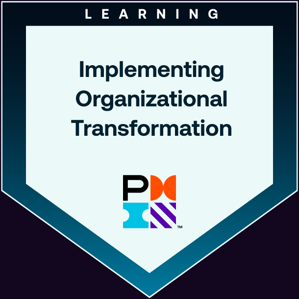 Implementing Organizational Transformation