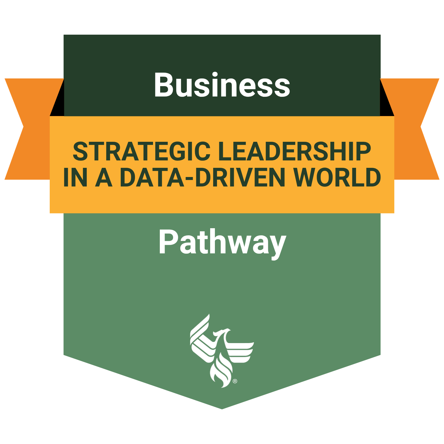 Strategic Leadership in a Data-Driven World Pathway
