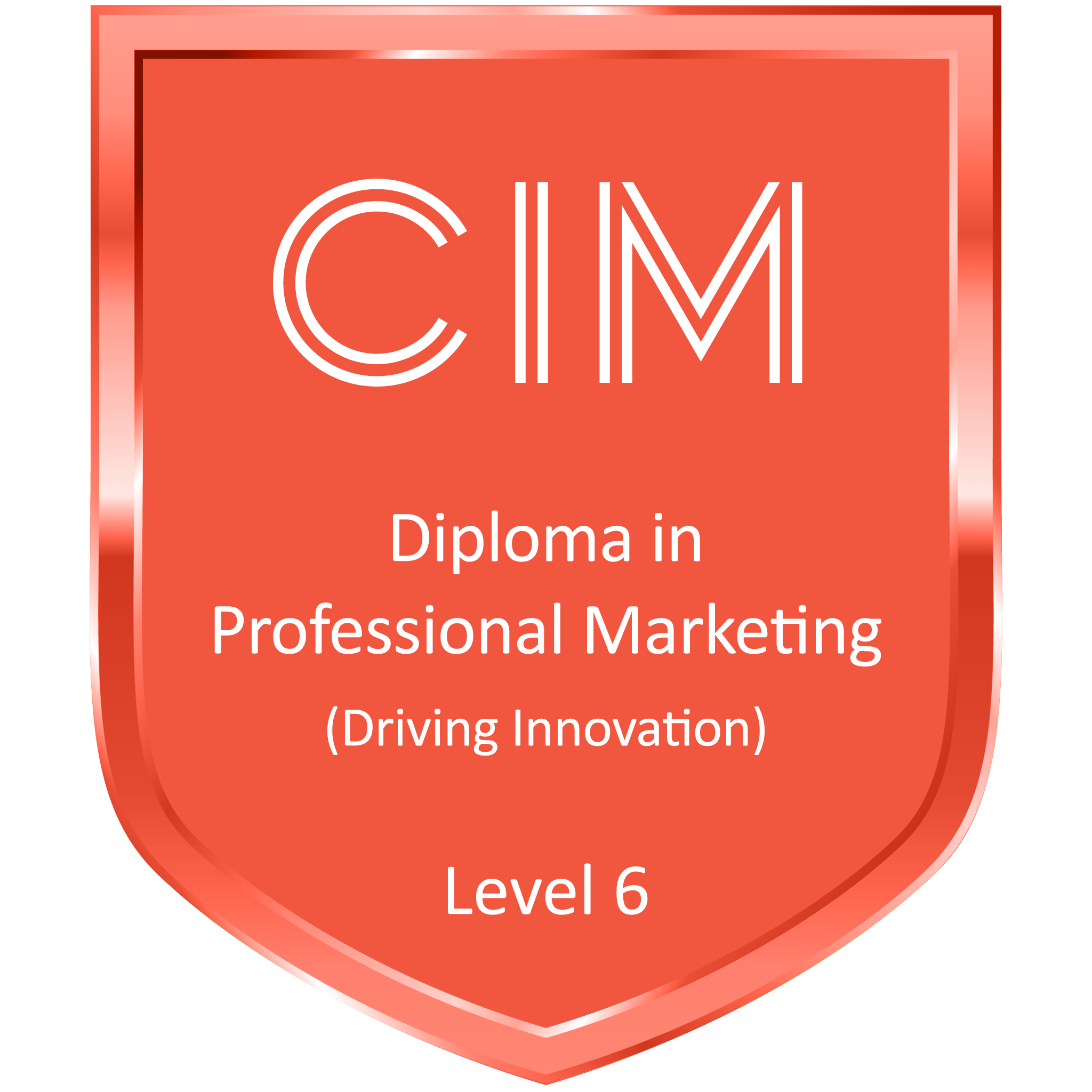 Diploma in Professional Marketing (Driving Innovation)