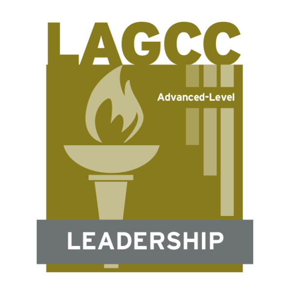 Leadership Advanced Level