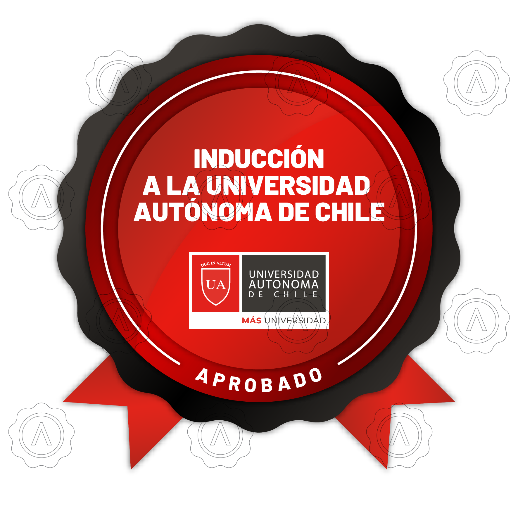 Colaborador UA