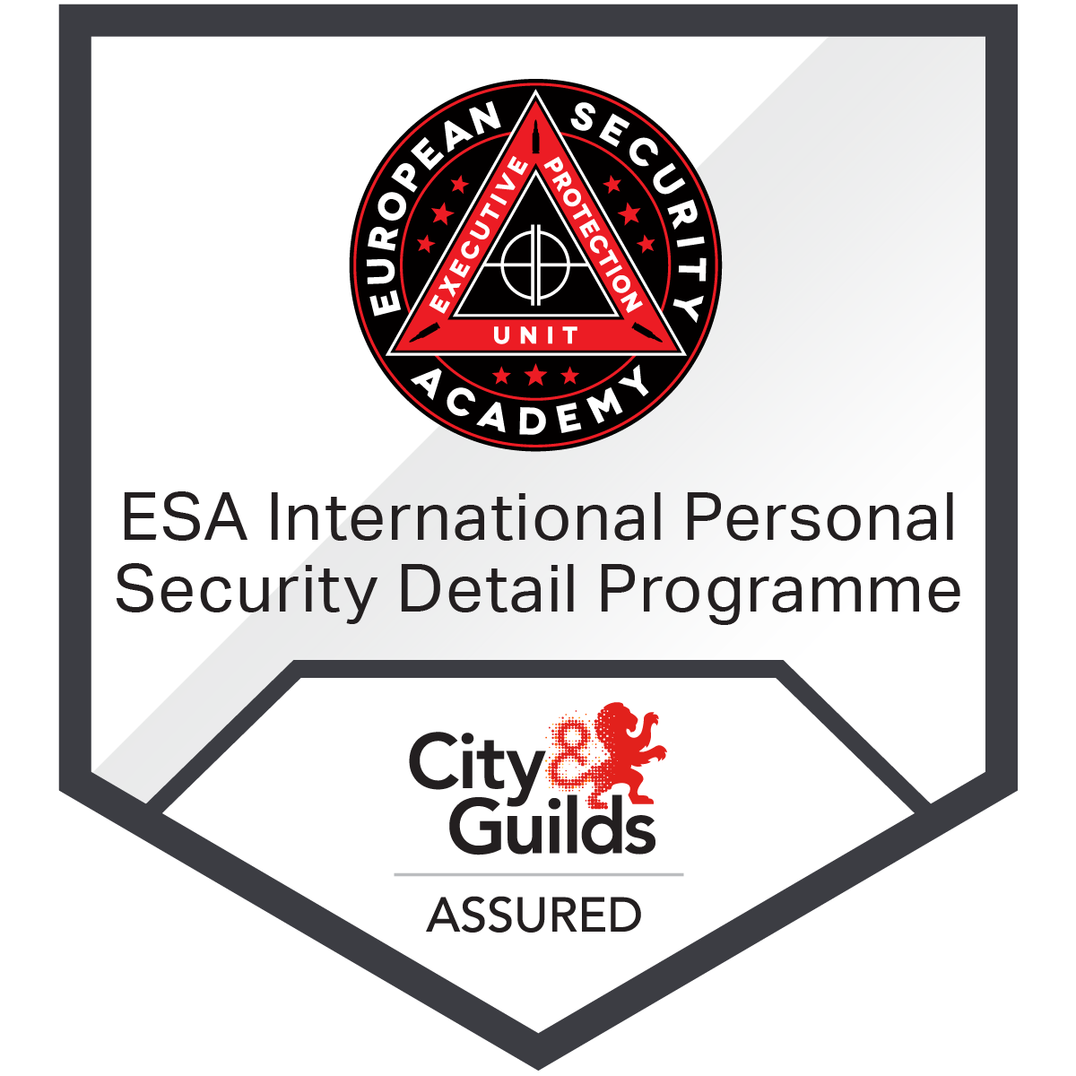 ESA International Personal Security Detail (PSD) Programme