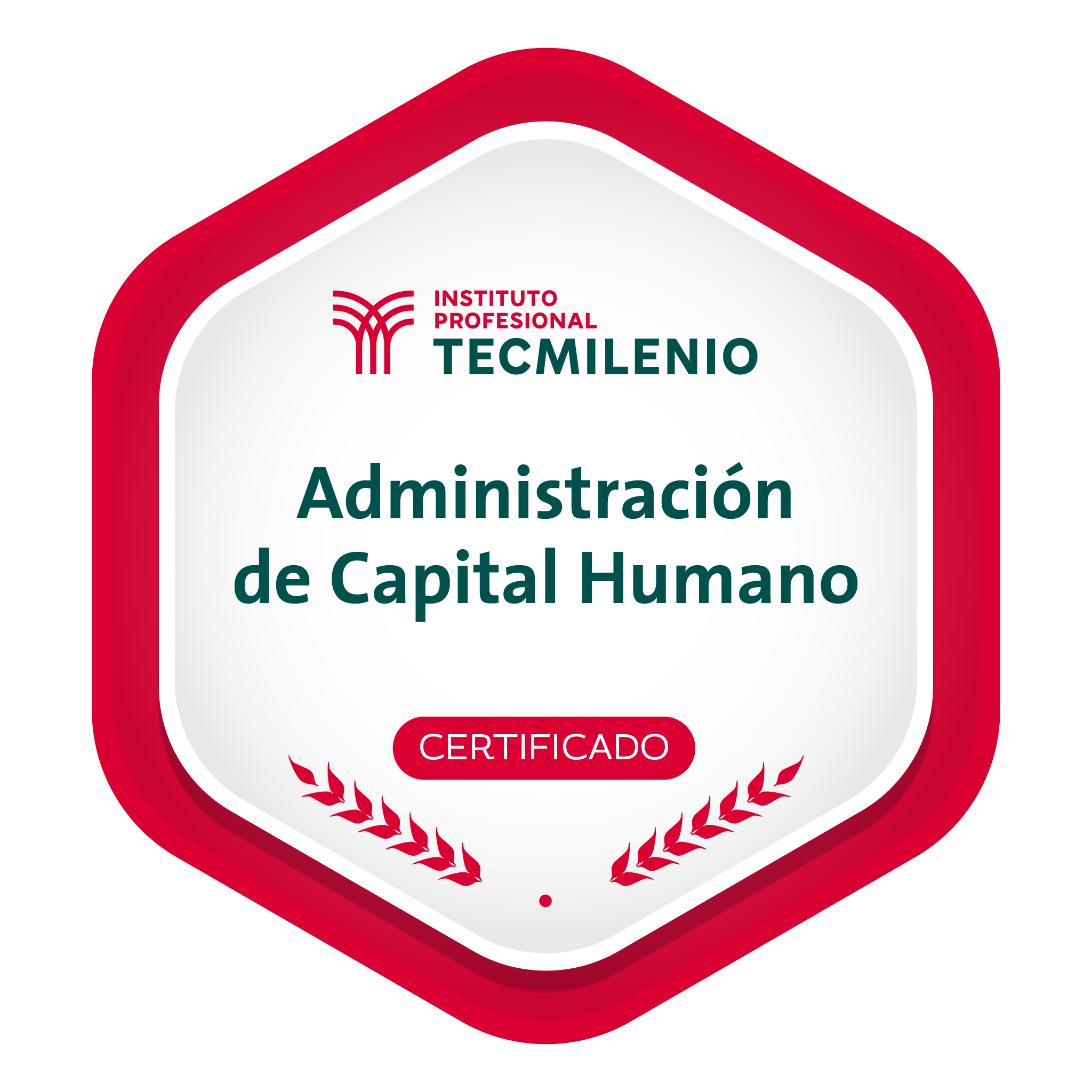 Administración del capital humano Credly
