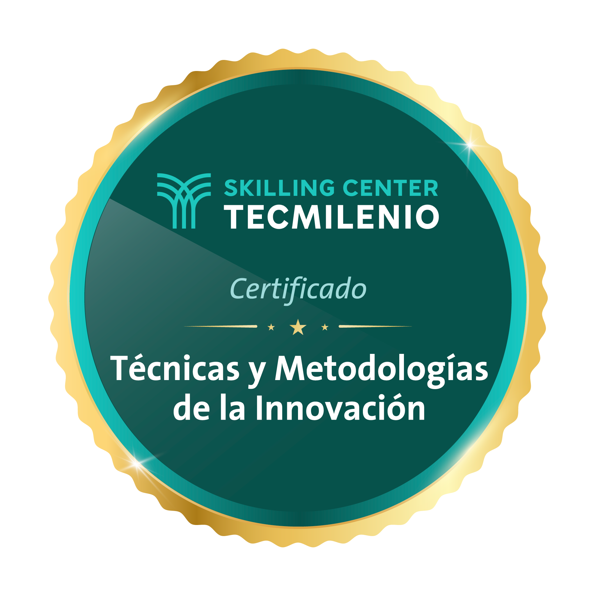 Certificado Técnicas y metodologías de la innovación