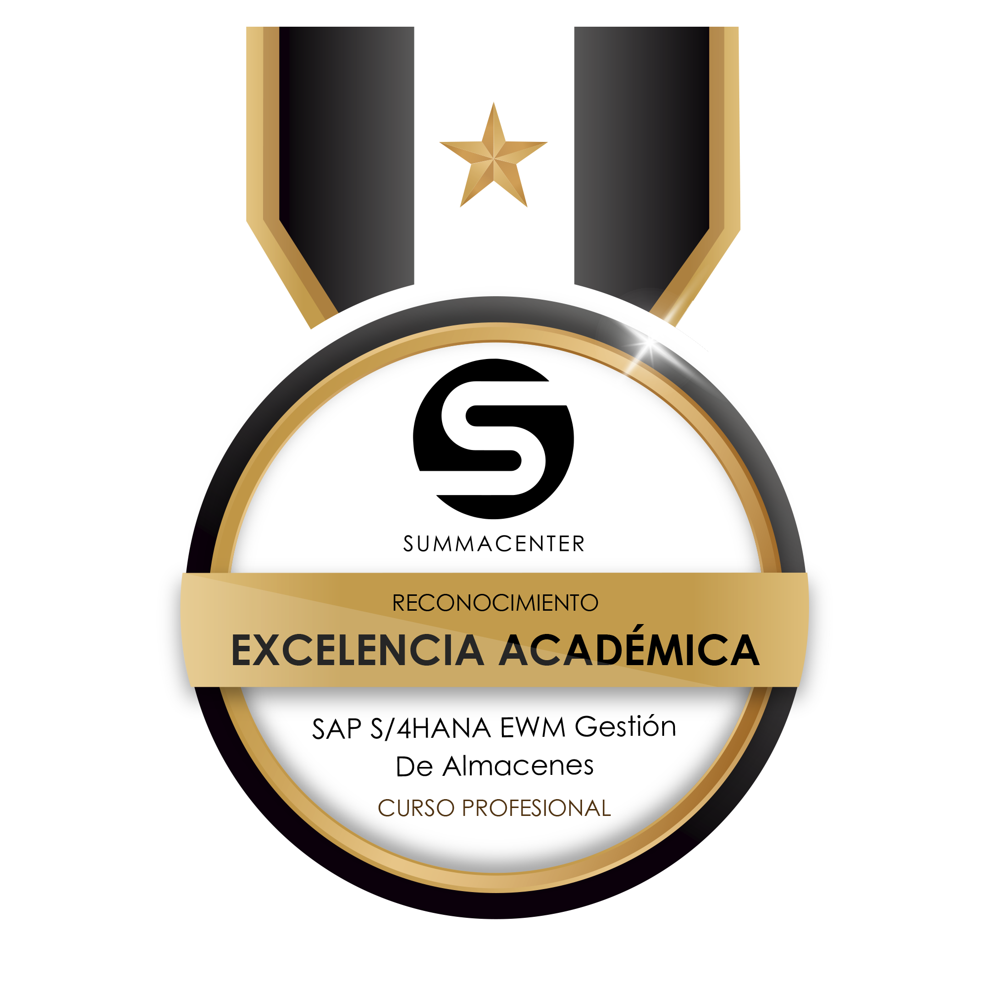 Excelencia Académica SAP S/4 HANA EWM Gestión de Almacenes