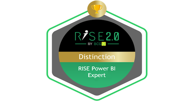 BCG RISE Power BI Expert - Credly