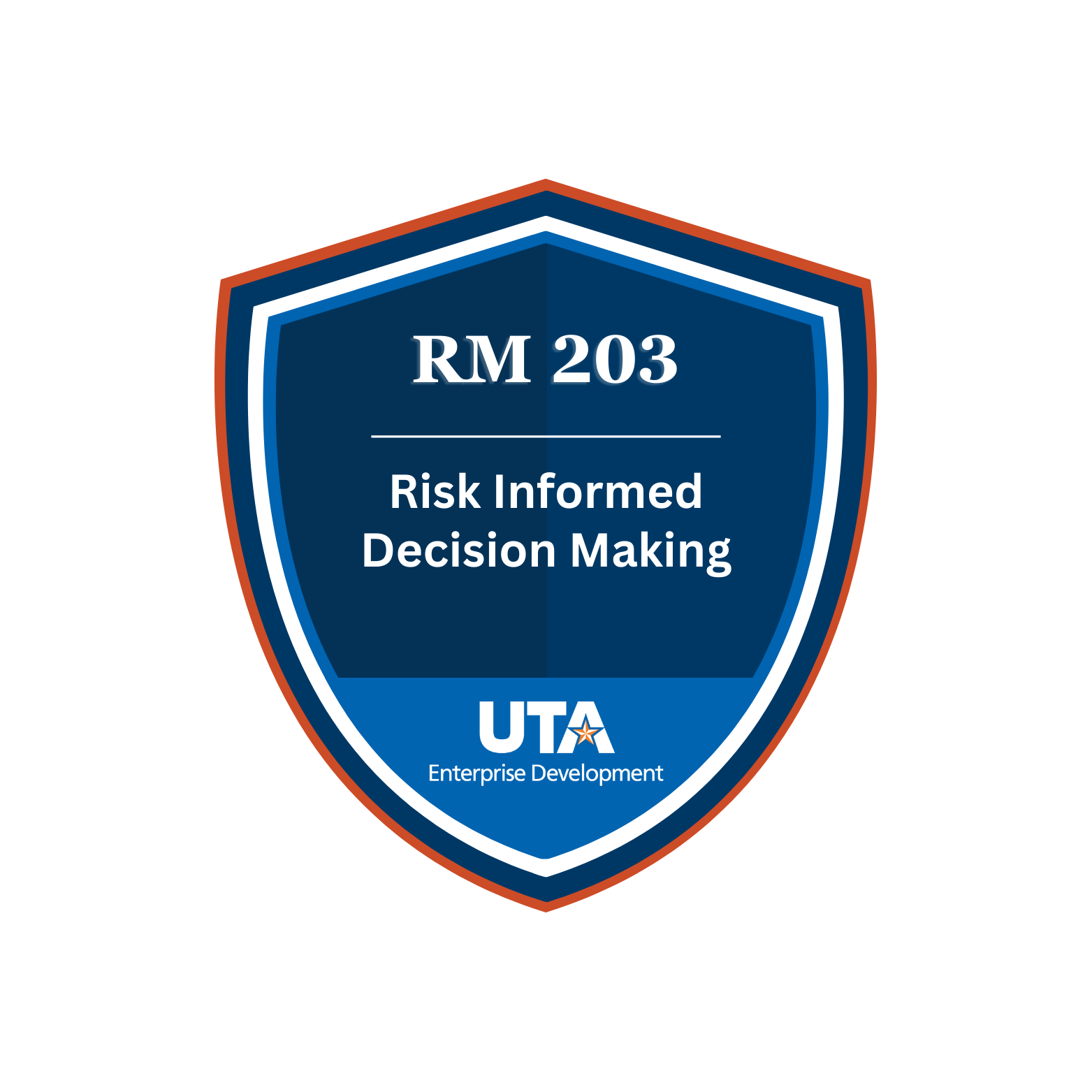 RM 203 Risk Informed Decision Making