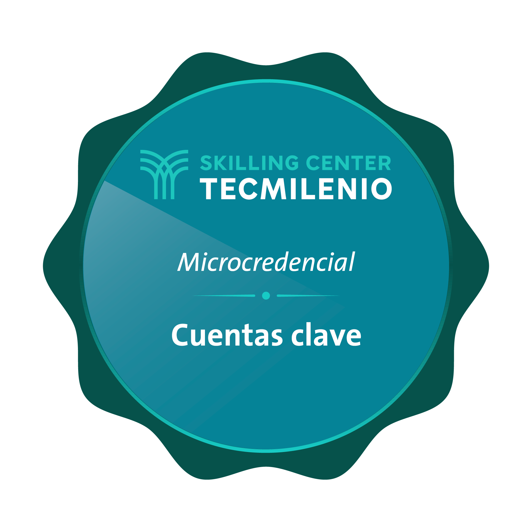 Microcredencial Cuentas clave