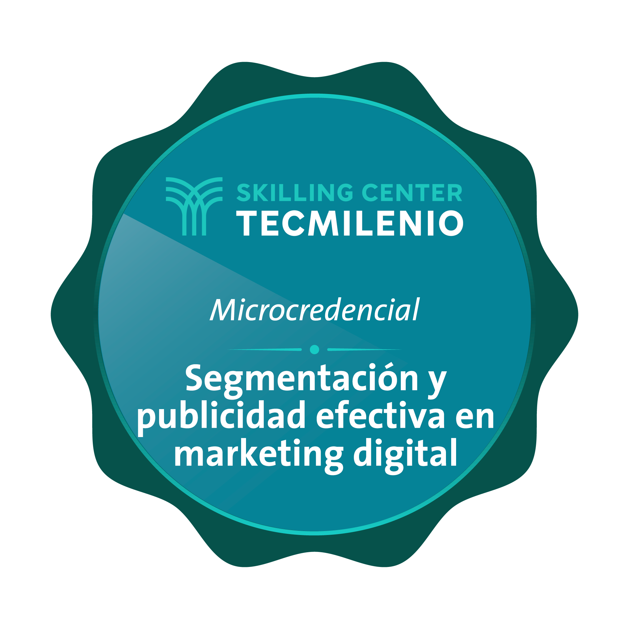 Microcredencial Segmentación y Publicidad Efectiva en marketing digital