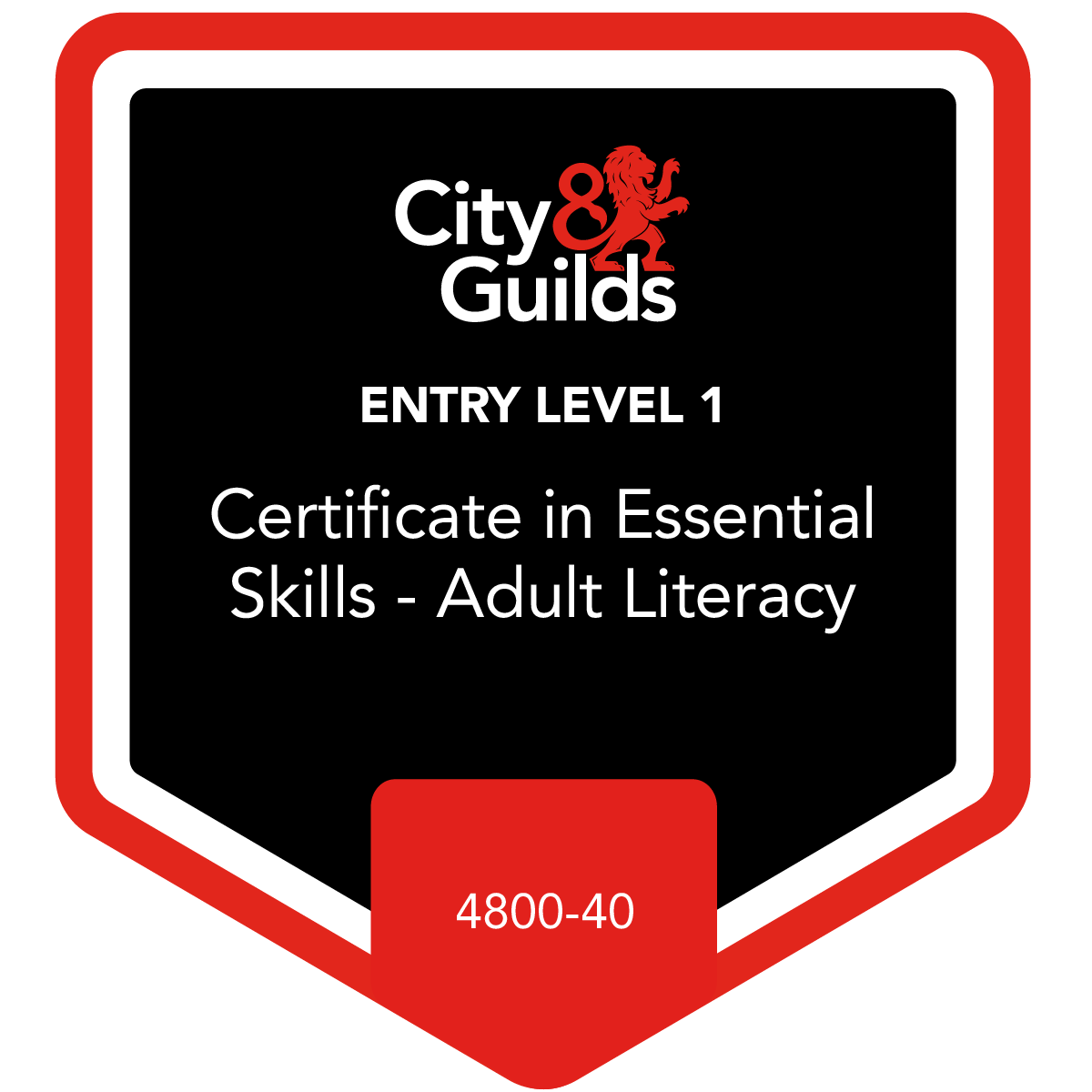 Entry Level Certificate in Essential Skills - Adult Literacy (Entry 1) (4800-40)