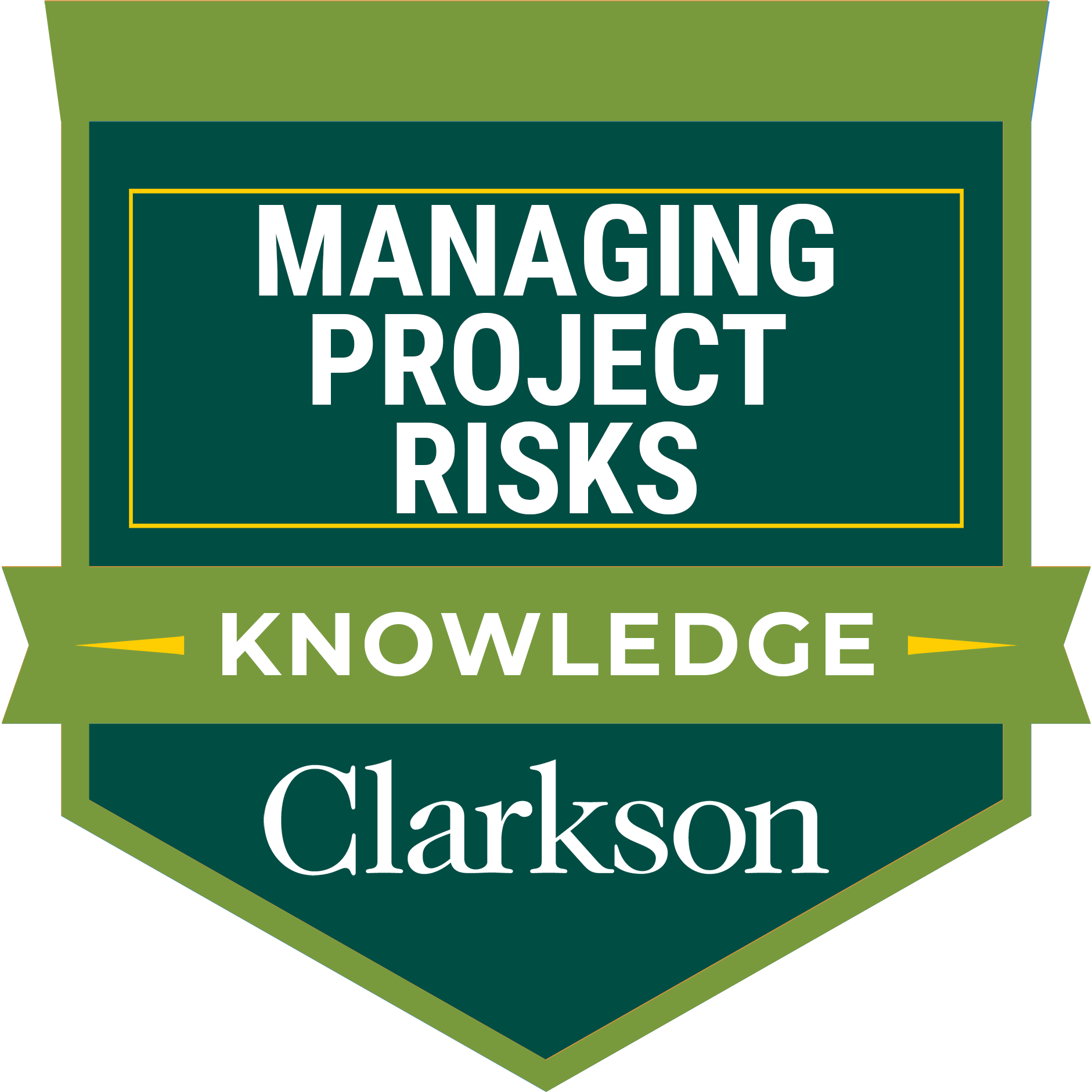 Managing Project Risks