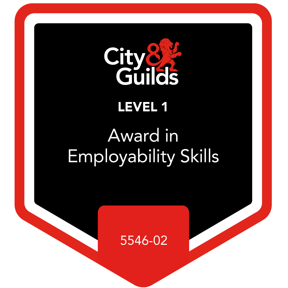 Level 1 Award in Employability Skills - 5546-02