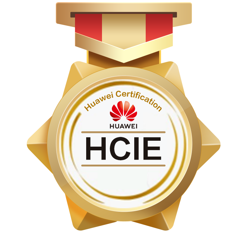 Huawei Certified ICT Expert - Routing & Switching (HCIE-Routing & Switching)