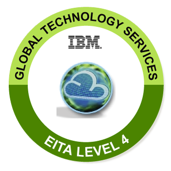 Enterprise IT Transformation Advisor Level 4