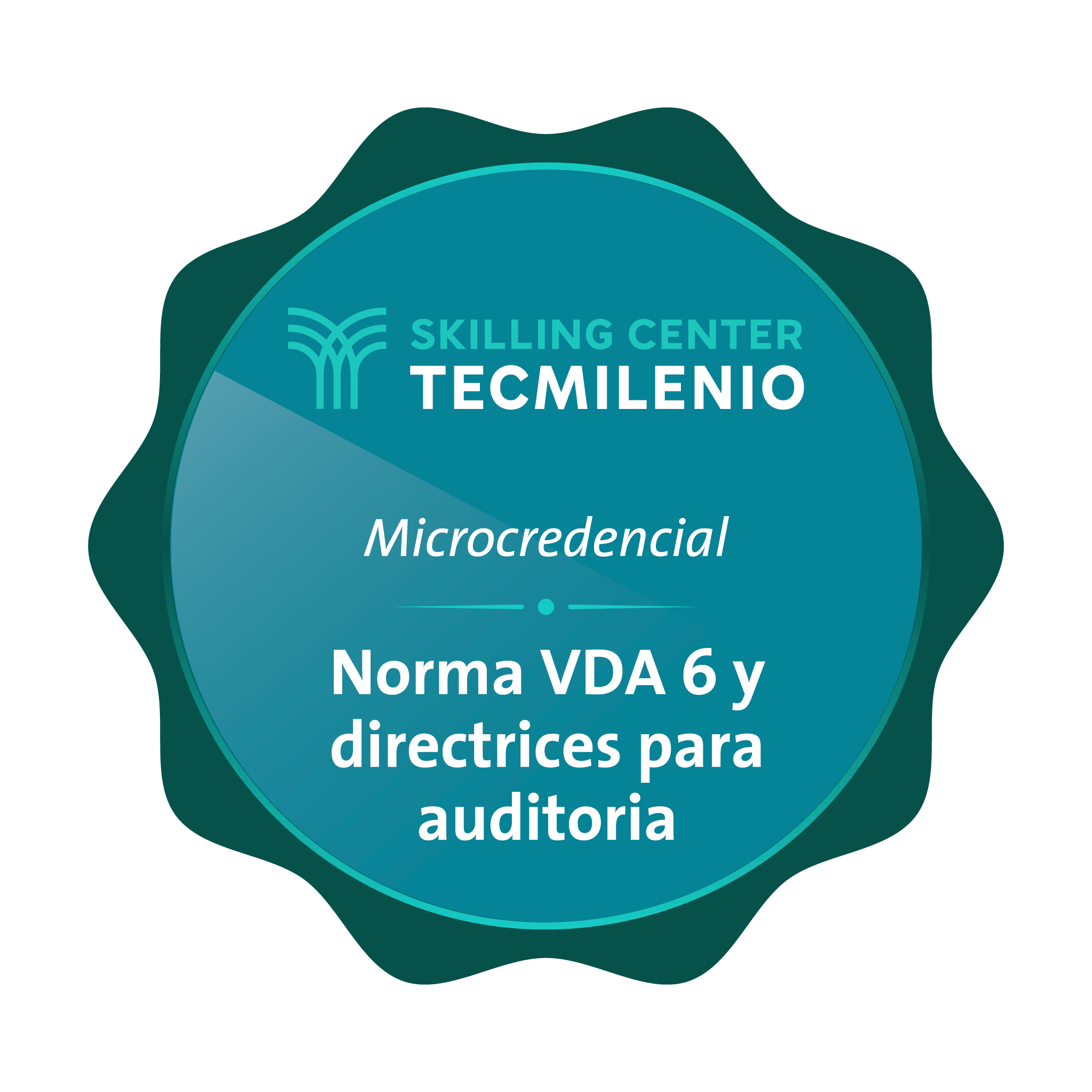 Microcredencial Norma VDA 6 y Directrices para auditoria