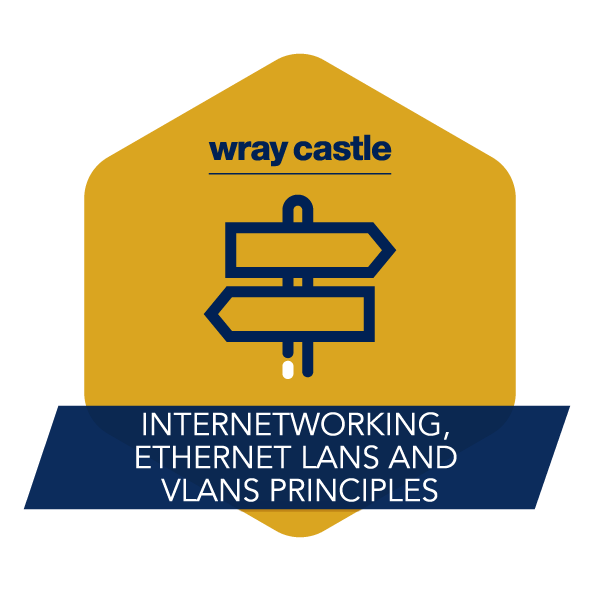 Internetworking, Ethernet LANs and VLANs Principles Training Course