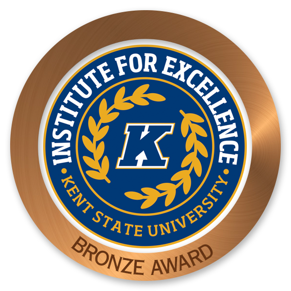 Institute for Excellence Bronze Award