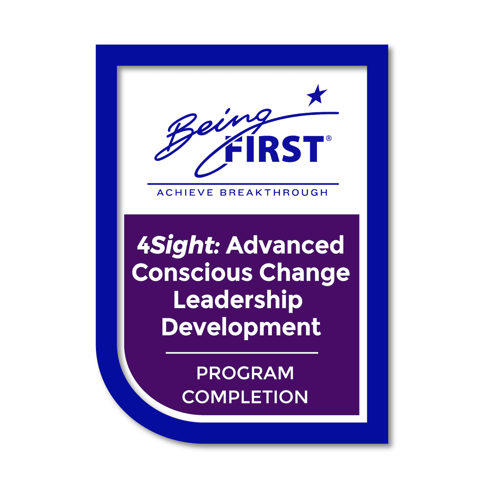 4Sight: Advanced Conscious Change Leadership Development Program Completion