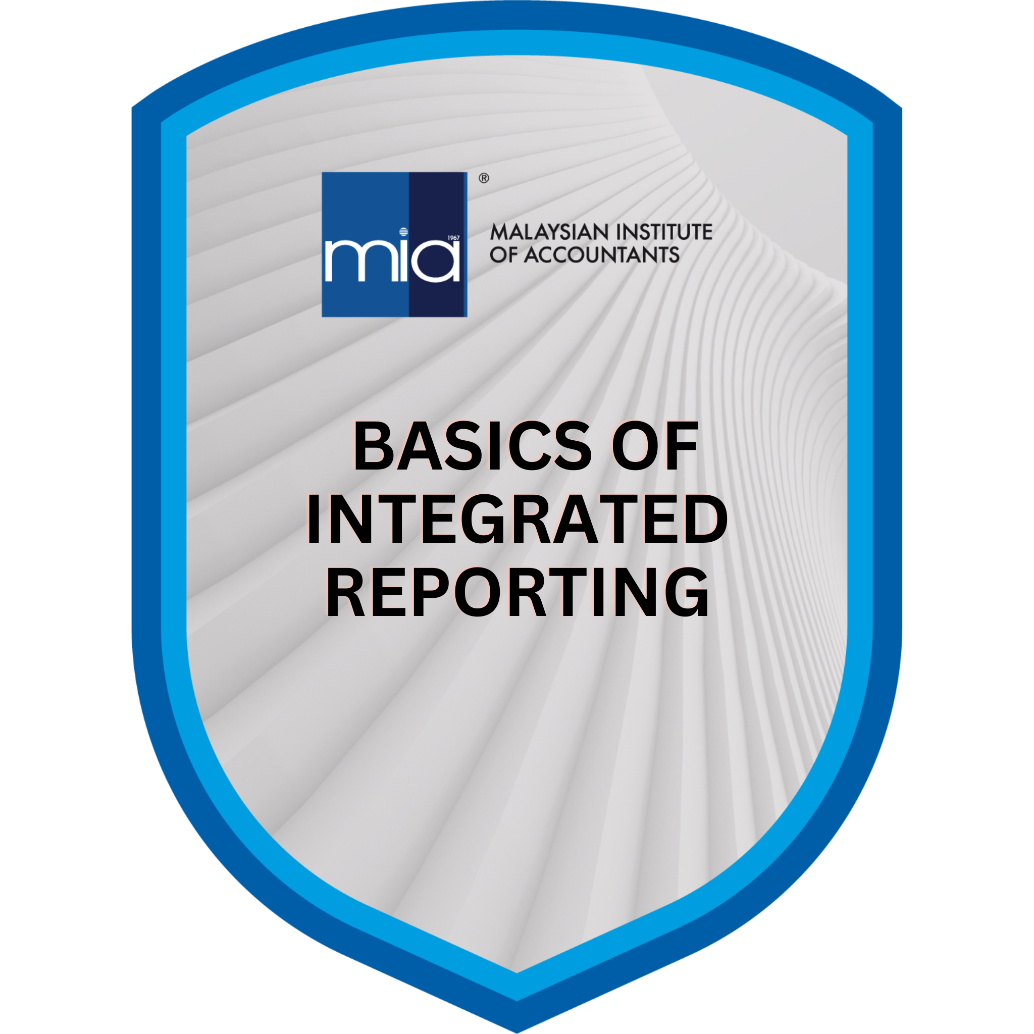 Basics of Integrated Reporting