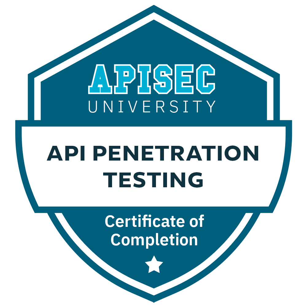 API Penetration Testing (12 hours)