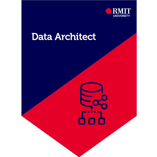 Data Architect