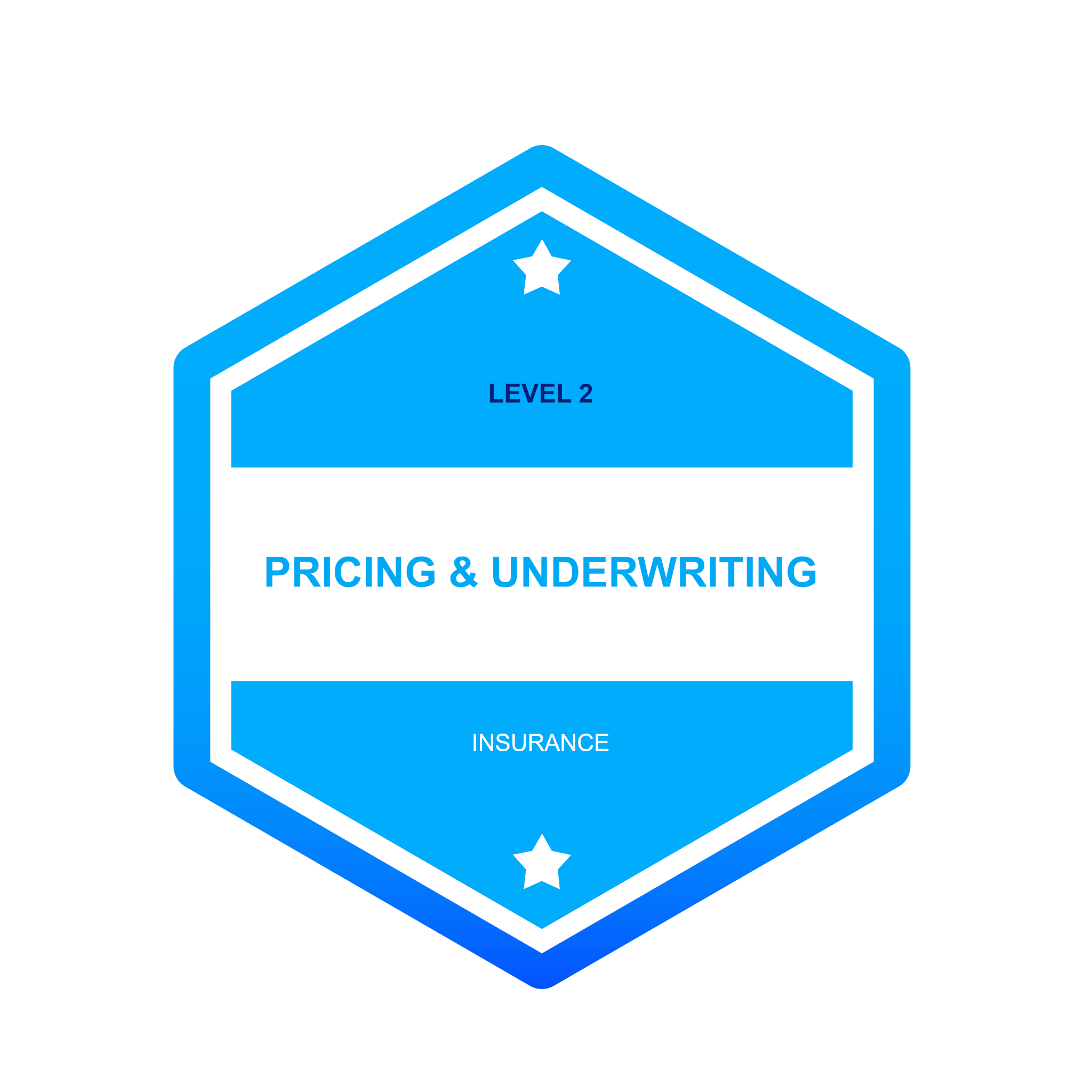 Insurance Pricing & Underwriting Level 2 Credly