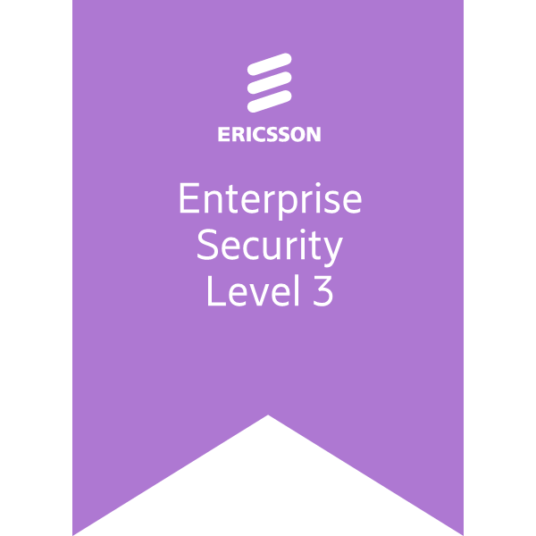 Enterprise Security – Level 3 Experienced - Credly