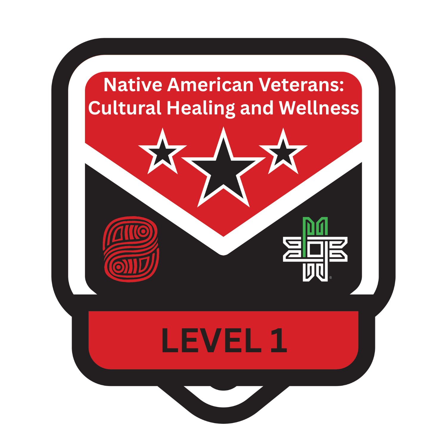 Native American Veterans: Cultural Healing and Wellness