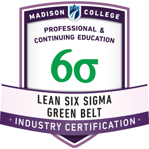 Lean Six Sigma Green Belt (v.01)