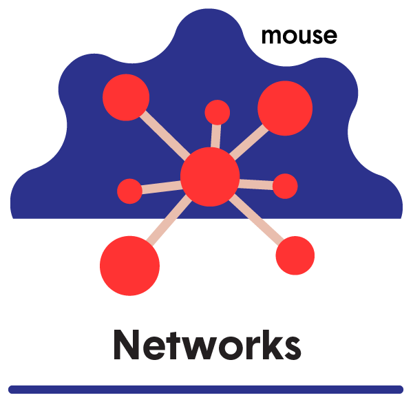 Networks: How data travels