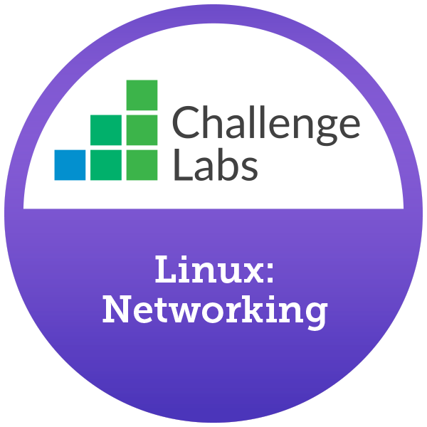 Linux: Networking [Hands-on Labs]