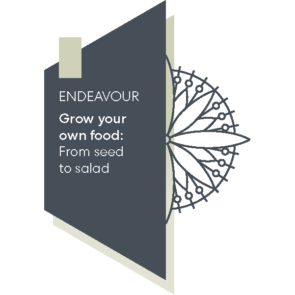 Grow your own food: from seed to salad