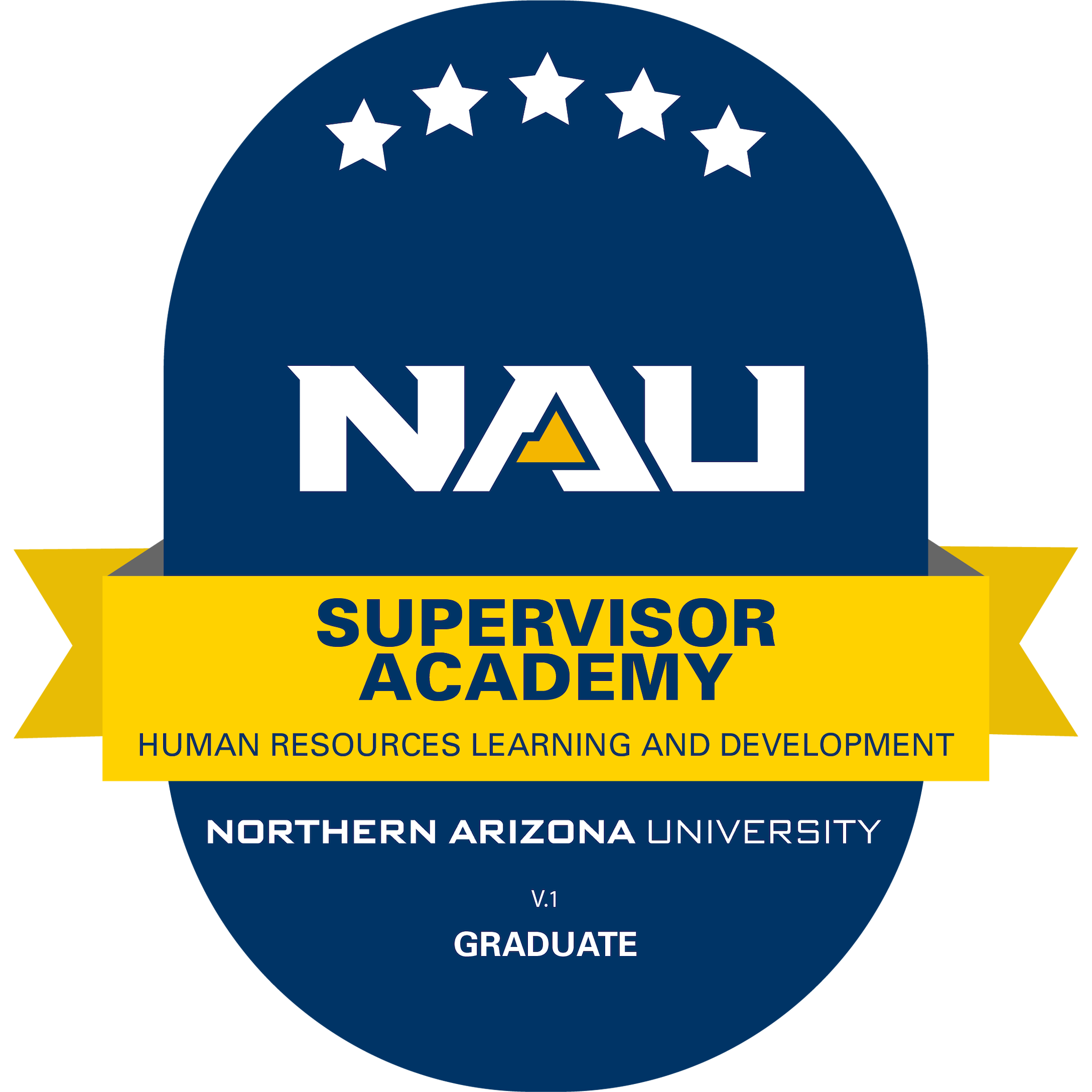 Supervisor Academy